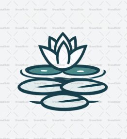 Seerosenblätter auf einem Teich